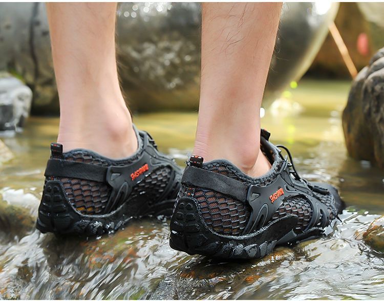 shoe